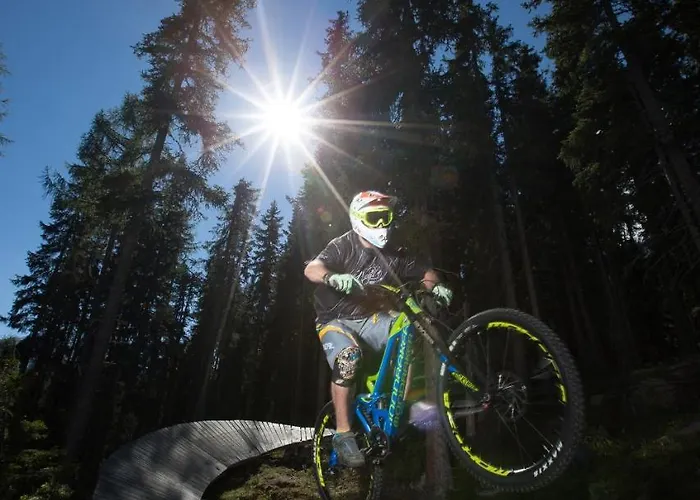 Sporthütte Fiegl Apartment *